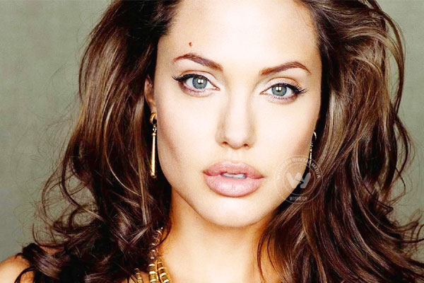 Angelina Jolie to direct a biopic now},{Angelina Jolie to direct a biopic now