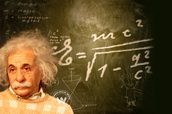 What smart people eat?},{What smart people eat?