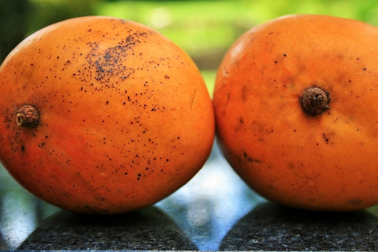 Indian Worker at Dubai International Airport Held for Stealing Mangoes