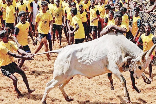 Centre nods for Jallikattu in Tamil Nadu},{Centre nods for Jallikattu in Tamil Nadu